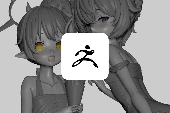 program