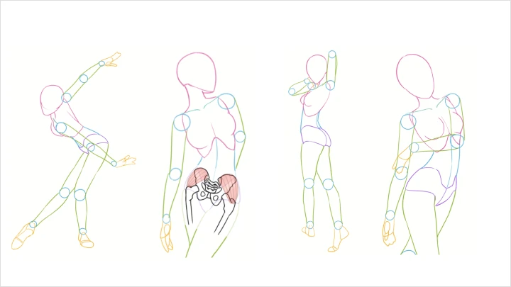 curriculum_illustrator_kintyokazu_03.webp
