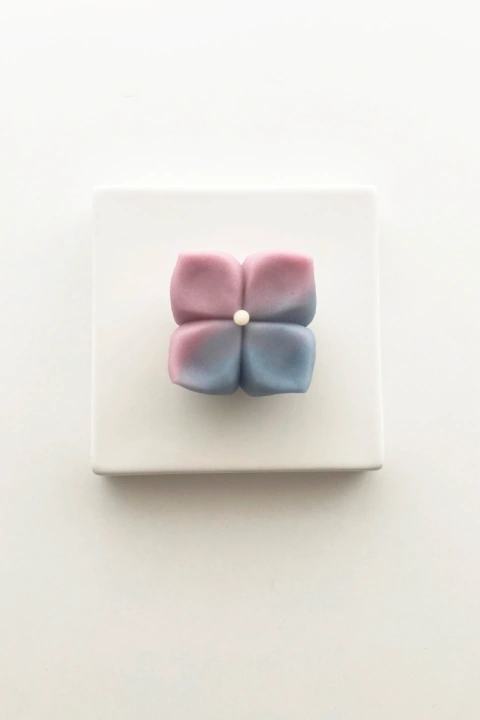 바이온림 대표 이민정