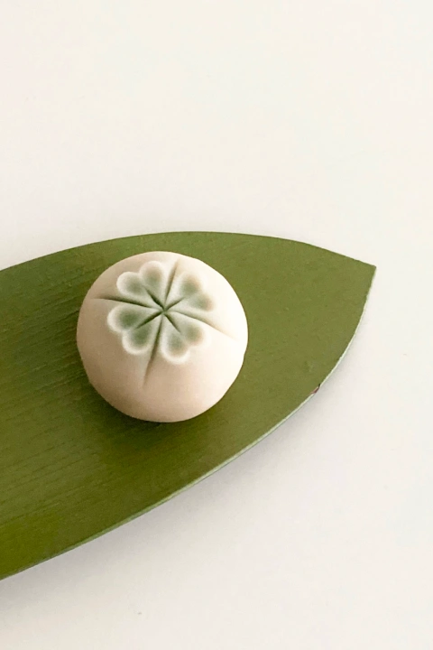 바이온림 대표 이민정