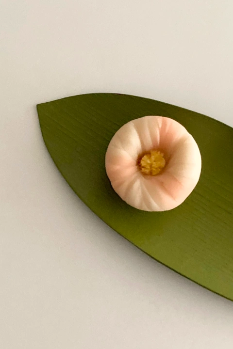 바이온림 대표 이민정