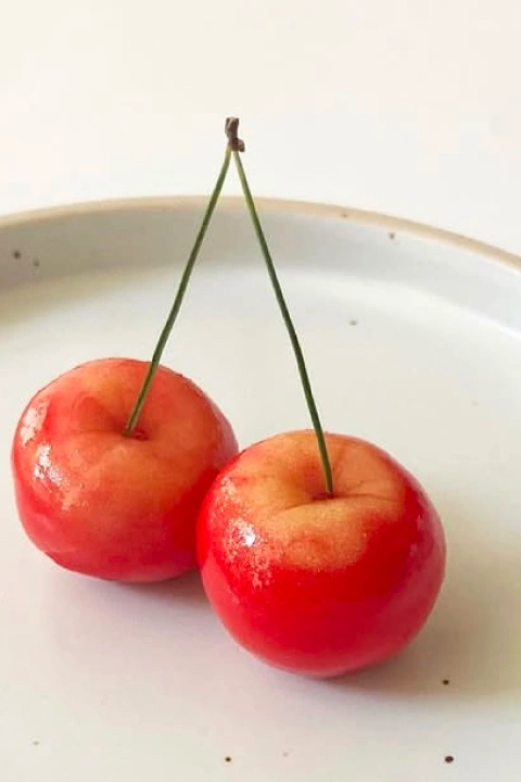 바이온림 대표 이민정
