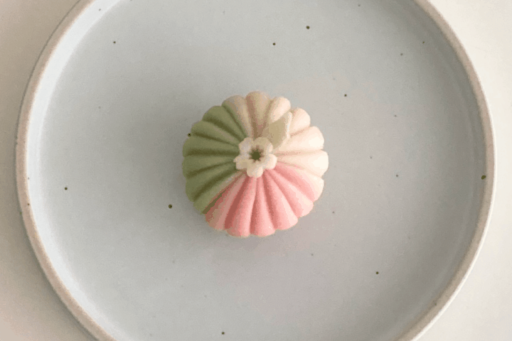 바이온림 대표 이민정