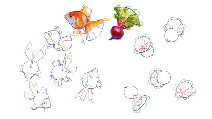 illust-rinotuna-curriculum-17.png
