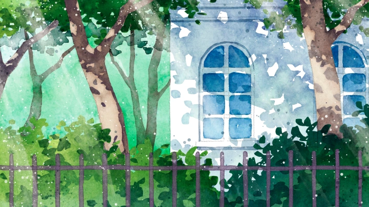 curriculum-illustrator-akatsukikatoh-07-1.webp