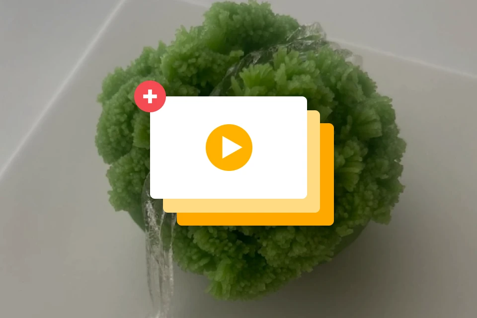 바이온림 대표 이민정