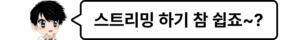 버츄얼 스트리밍