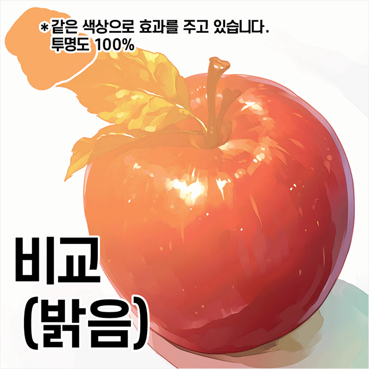 일러스트레이터 폐꾸