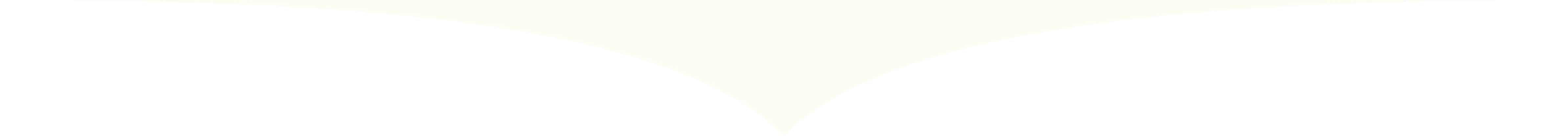 거래처, 꽃구매, 꽃다발, 꽃사입, 꽃시장, 마켓투어, 본식부케, 부케, 부케디자인, 부케사입, 소피토, 스튜디오부케, 여름부케, 웨딩부케, 은방울부케, 작약, 작약꽃, 작약부케, 작약사입, 진주부케, 컨디셔닝, 플로리스트