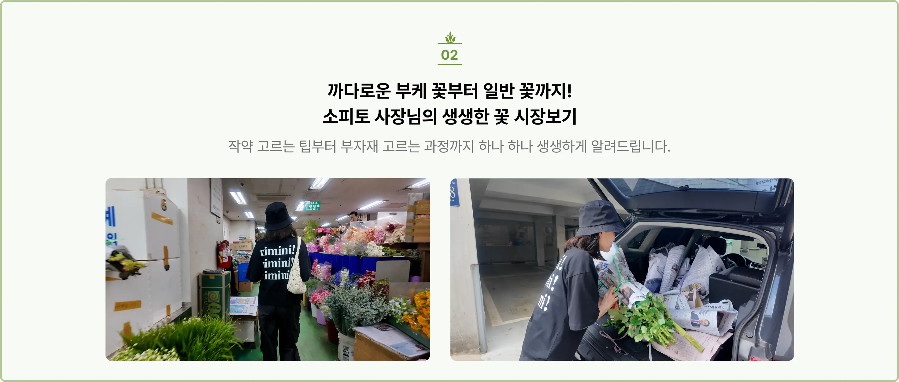거래처, 꽃구매, 꽃다발, 꽃사입, 꽃시장, 마켓투어, 본식부케, 부케, 부케디자인, 부케사입, 소피토, 스튜디오부케, 여름부케, 웨딩부케, 은방울부케, 작약, 작약꽃, 작약부케, 작약사입, 진주부케, 컨디셔닝, 플로리스트