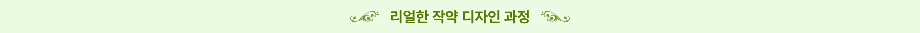 거래처, 꽃구매, 꽃다발, 꽃사입, 꽃시장, 마켓투어, 본식부케, 부케, 부케디자인, 부케사입, 소피토, 스튜디오부케, 여름부케, 웨딩부케, 은방울부케, 작약, 작약꽃, 작약부케, 작약사입, 진주부케, 컨디셔닝, 플로리스트