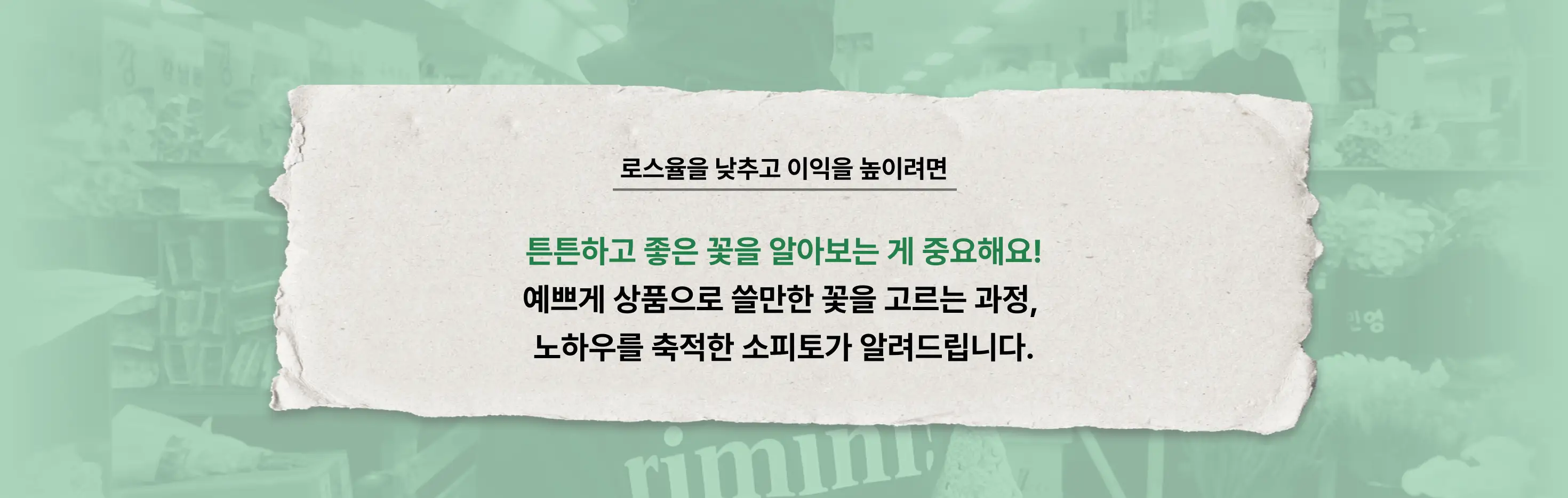 거래처, 꽃구매, 꽃다발, 꽃사입, 꽃시장, 마켓투어, 본식부케, 부케, 부케디자인, 부케사입, 소피토, 스튜디오부케, 여름부케, 웨딩부케, 은방울부케, 작약, 작약꽃, 작약부케, 작약사입, 진주부케, 컨디셔닝, 플로리스트