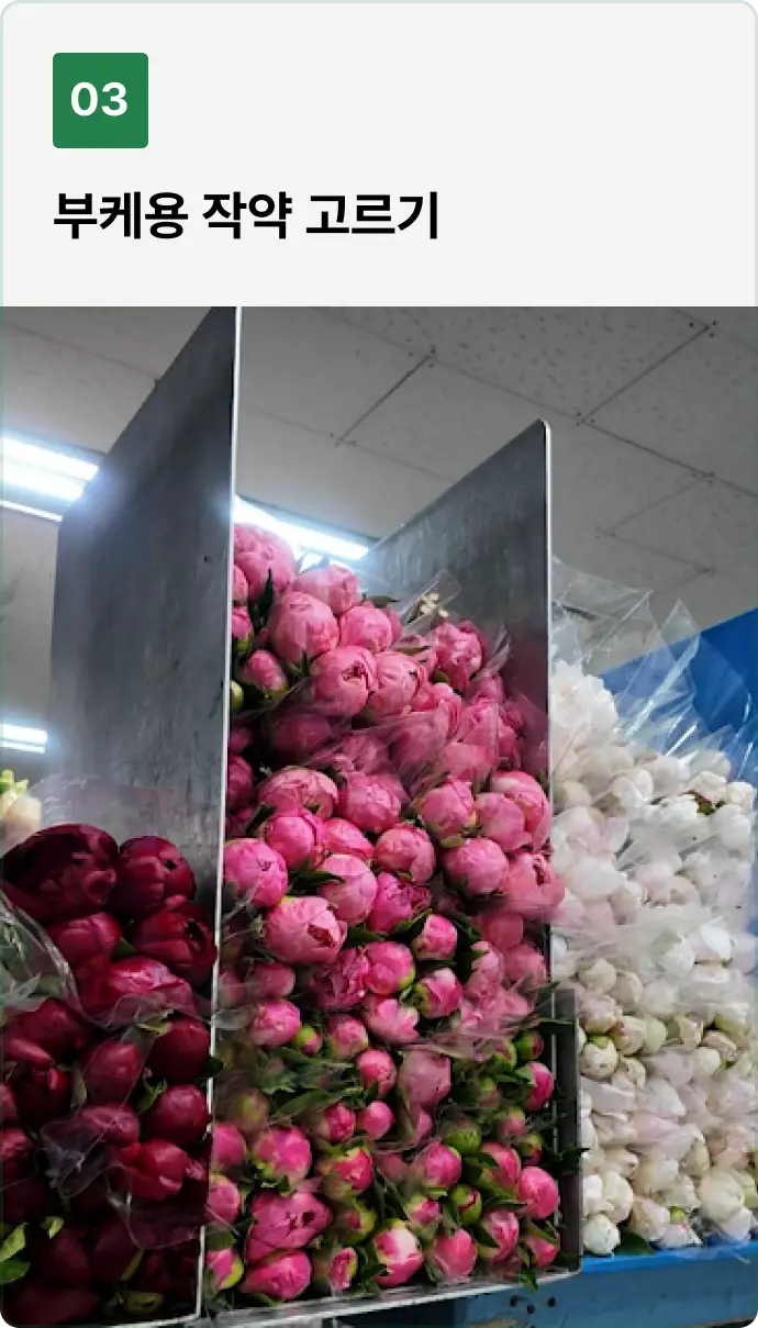 ImageSlide