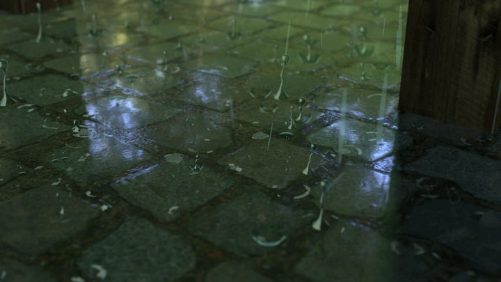 3D Artist, Tawan Sunflower