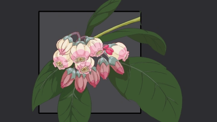 curriculum-2dfxanimator-sixtinejames-us-04-4.webp