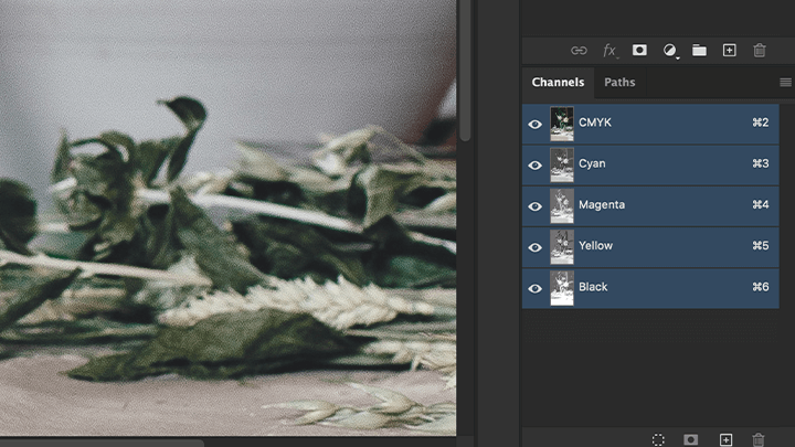 graphicdesign-saa-curriculum-12.png
