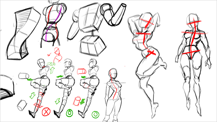 illustrator-ronne-curriculum4.png