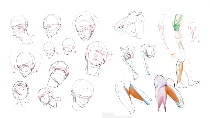 curriculum_illustrator_duckchun_02.webp