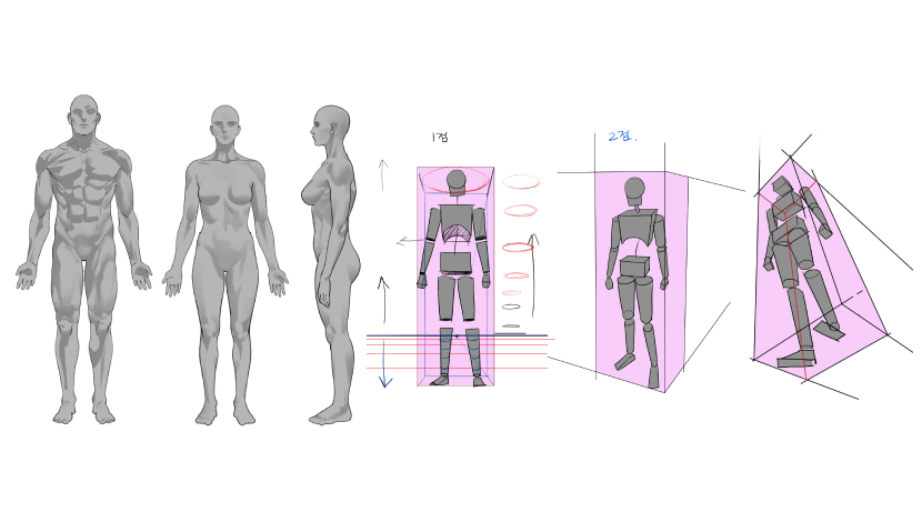 curriculum-11 - 복사본.png