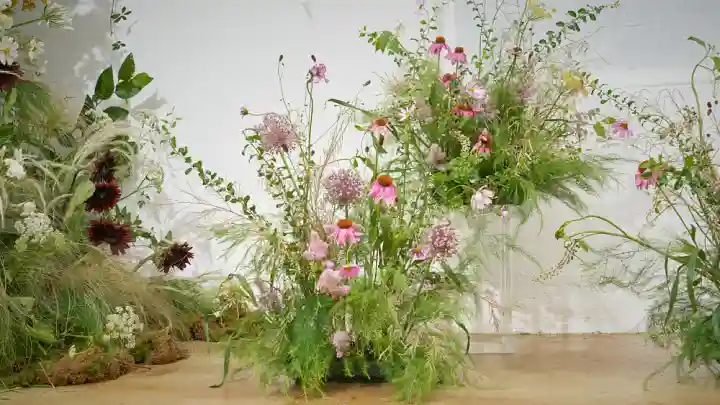 curriculum_curriculum_flowerdesigner_choiinyoung_02.webp