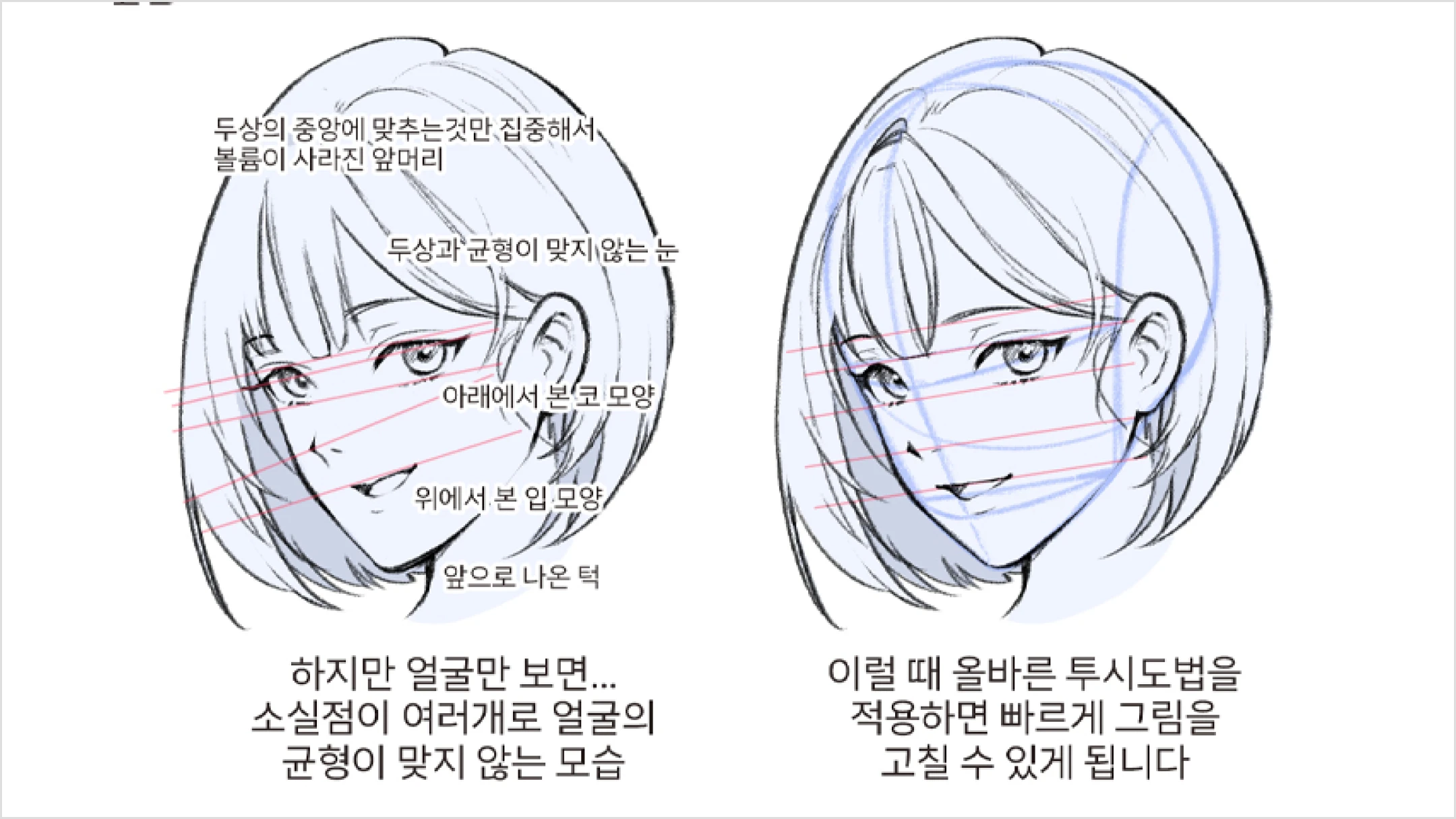 kr-illustrator-keto3-curri-01.webp
