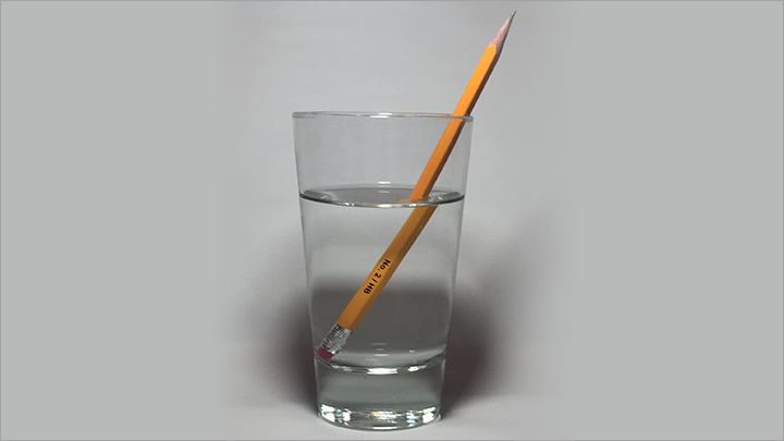 curriculum15-2.png