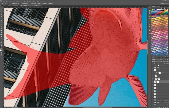 coloso-illust-nakta-curriculum-web-11.webp