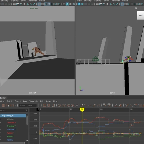 3D Animator, Vikram Grewal