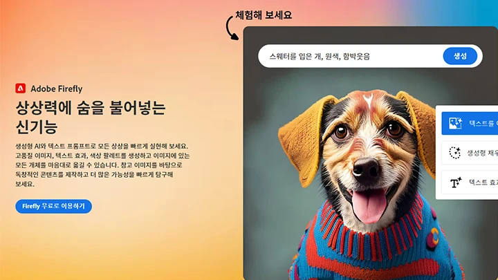kr-graphicdesign-nakta3-curriculum-02.webp