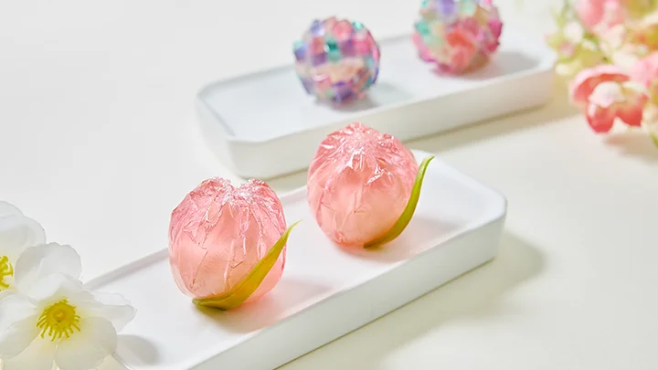 kr-patissier-seojihyun-curriculum-12.webp