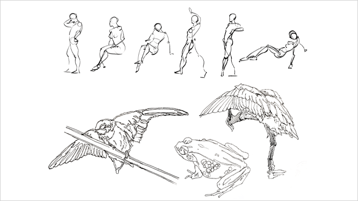 illust-kimjongcheol-curriculum-07.png