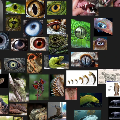 3D Game Artist, Gino Kolling