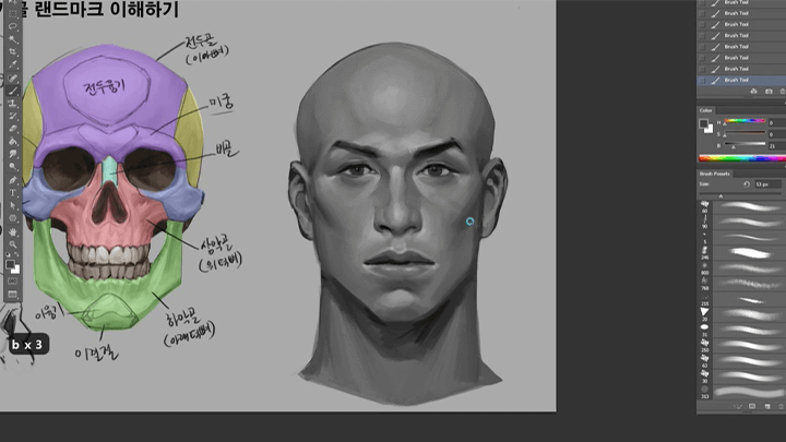 illust-nixellcho-curriculum-03.png