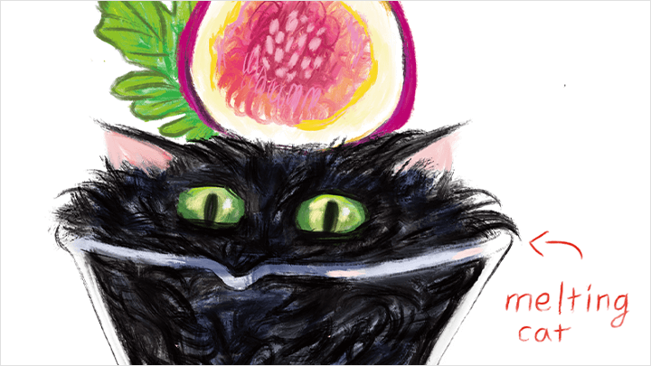 illustrator-rojo2-curriculum-15.png