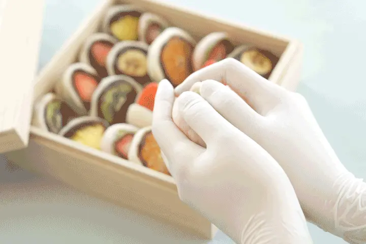 갸또디솔레 대표 서지현