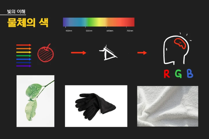 일러스트레이터 려미