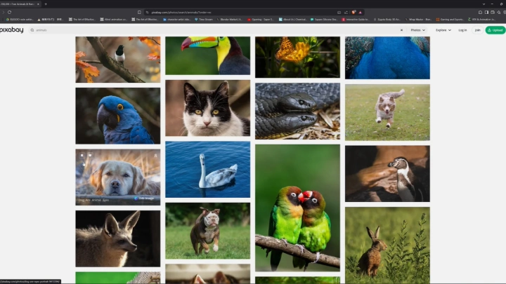 curriculum-3dartist-ginokolling-02-2.webp