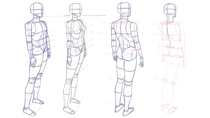curriculum-illustrator_kimrockhe-08.webp