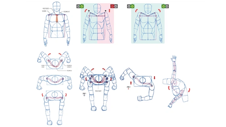 curriculum-illustrator_kimrockhe-13.webp