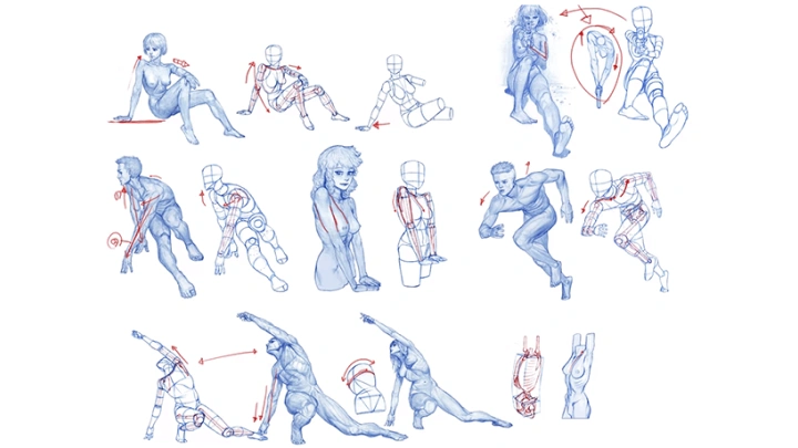 curriculum-illustrator_kimrockhe-15.webp