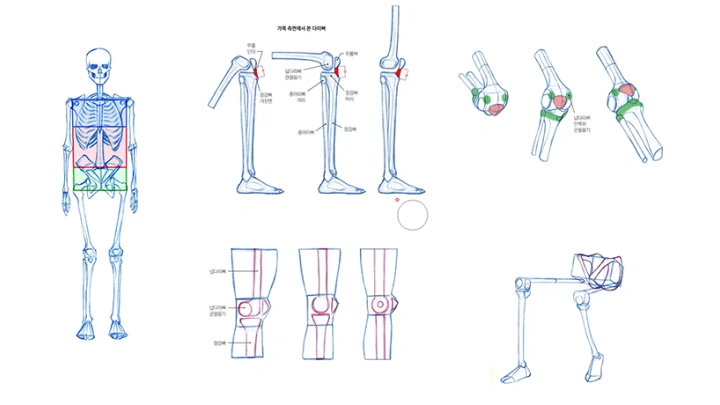 curriculum-illustrator_kimrockhe-18.webp