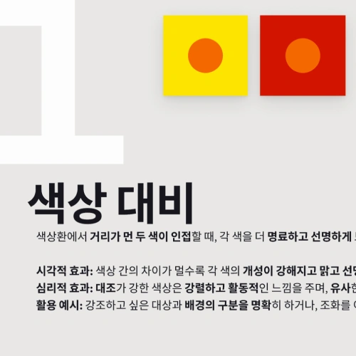 컨셉 아티스트 NOICIS