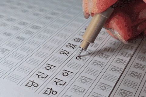 콜로소 에셋 상품 요약 