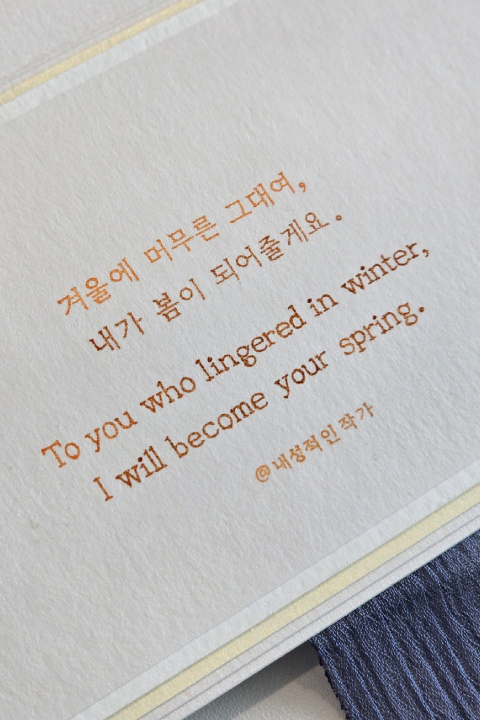 콜로소 에 포트폴리오