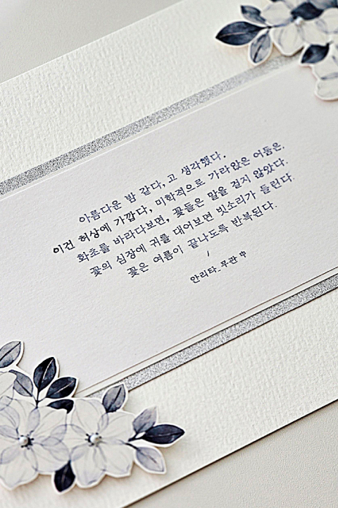 콜로소 에셋 포트폴리오