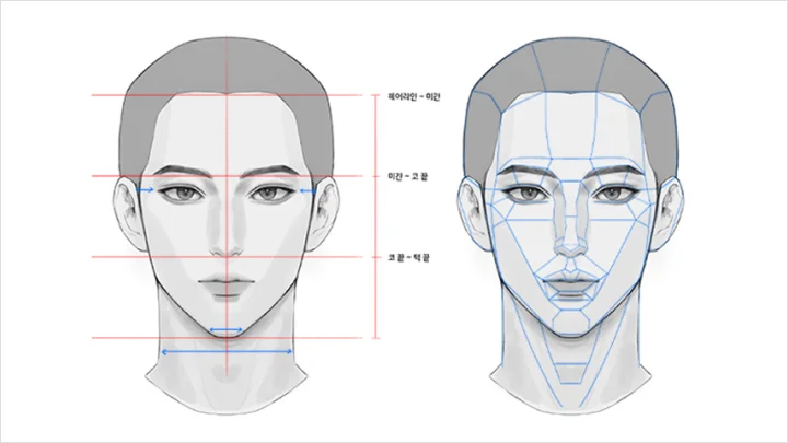 curriculum-illustrator-lika-01-1.webp