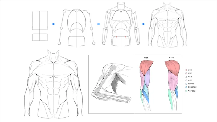 curriculum-illustrator-lika-01-3.webp