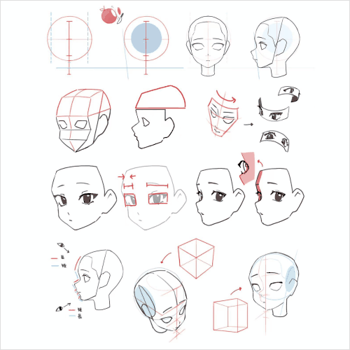 illustrator Midori