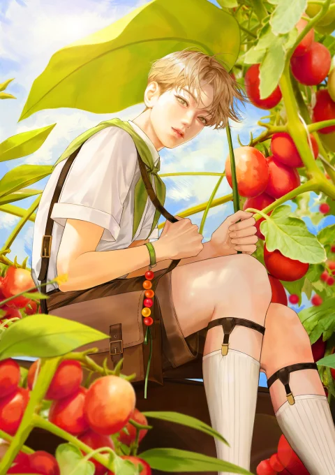 Illustrator, lika