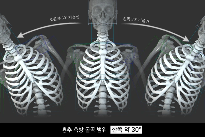 3D 애니메이터 김다홍